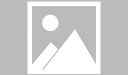 怎样看91直播,探索网络直播的魅力与挑战